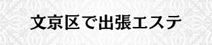 出張メンズエステ出張マッサージの文京区で出張エステ